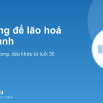 Tập gì để không mất cơ, chắc xương, dẻo khớp: vận động cho lão hoá lành mạnh từ tuổi 30