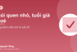 Cách phòng bệnh mãn tính từ tuổi 30: những thói quen sống để lão hoá lành mạnh
