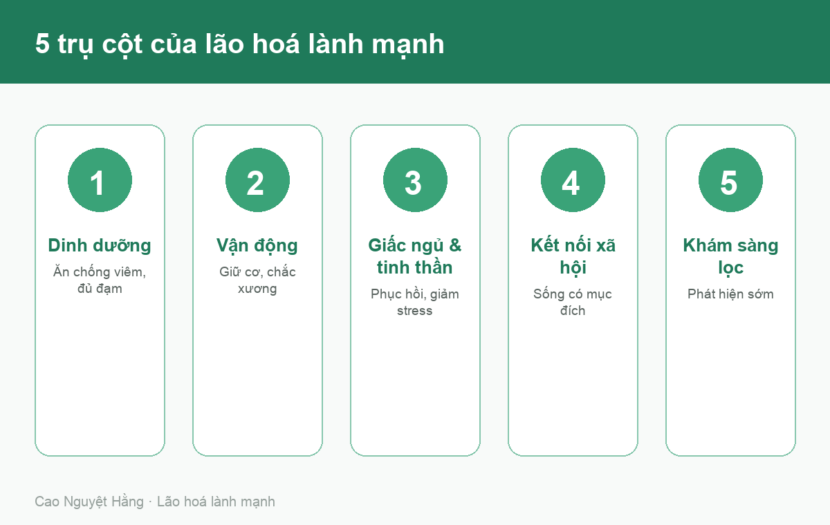 Năm trụ cột của lão hoá lành mạnh