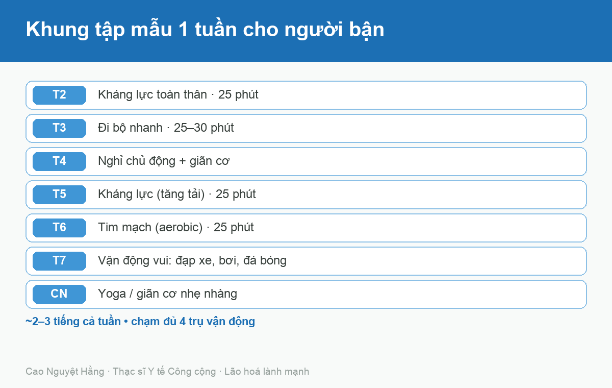 Khung tập mẫu một tuần chạm đủ bốn trụ vận động cho người bận rộn