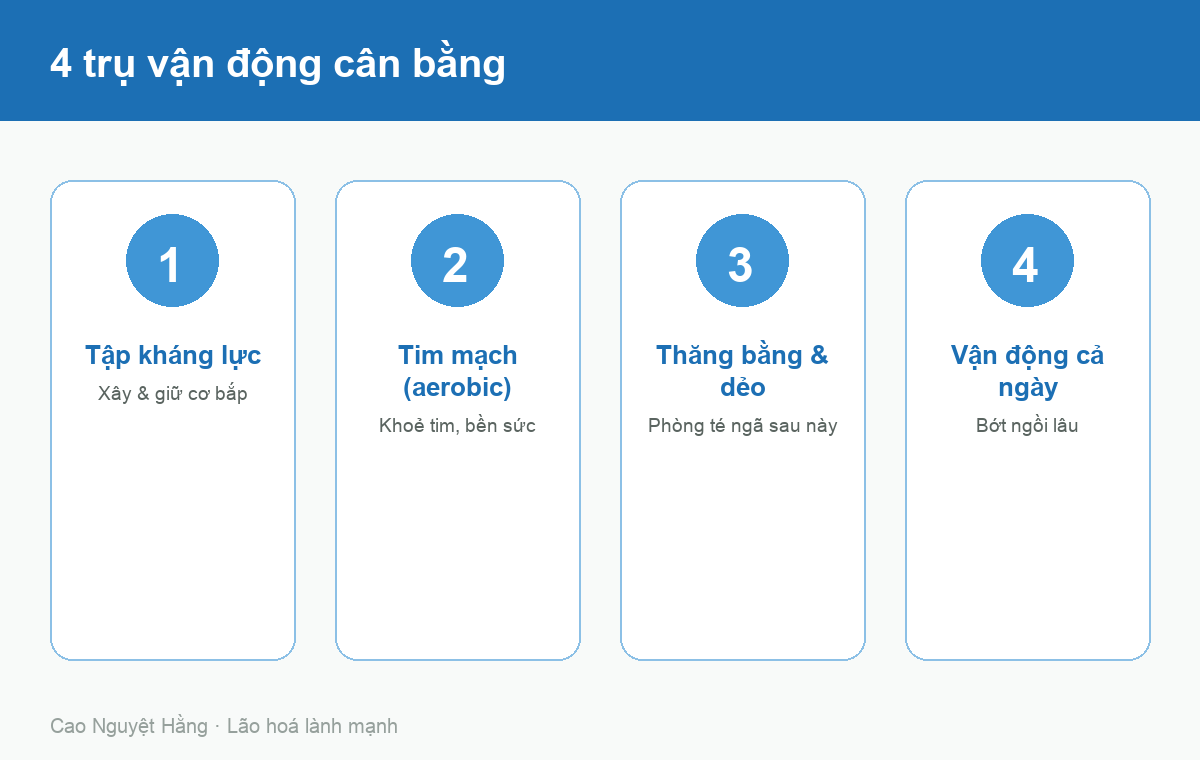 Bốn trụ vận động cân bằng: kháng lực, tim mạch, thăng bằng và vận động rải trong ngày